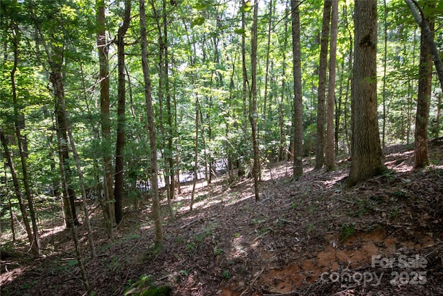 LOT110 Stoney Brook Dr Unit 110, Lenoir, NC 28645 - photo 8