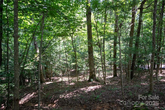 LOT110 Stoney Brook Dr Unit 110, Lenoir, NC 28645 - photo 9