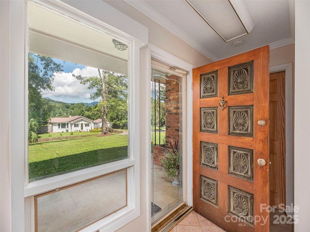 827 Oakdale Rd, Waynesville, NC 28786 - photo 4