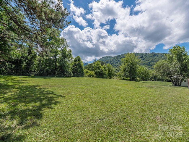827 Oakdale Rd, Waynesville, NC 28786 - photo 20
