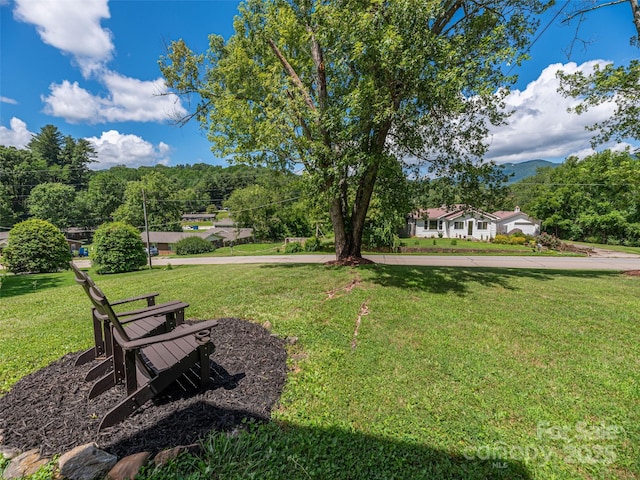 827 Oakdale Rd, Waynesville, NC 28786 - photo 22