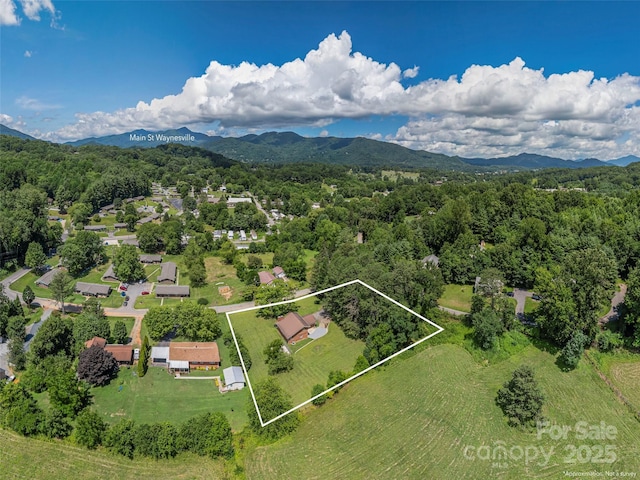 827 Oakdale Rd, Waynesville, NC 28786 - photo 28