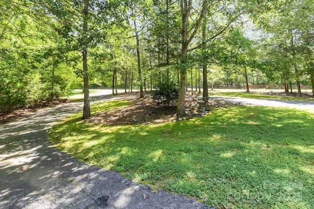 8300 Loma Linda Ln, Waxhaw, NC 28173 - photo 41