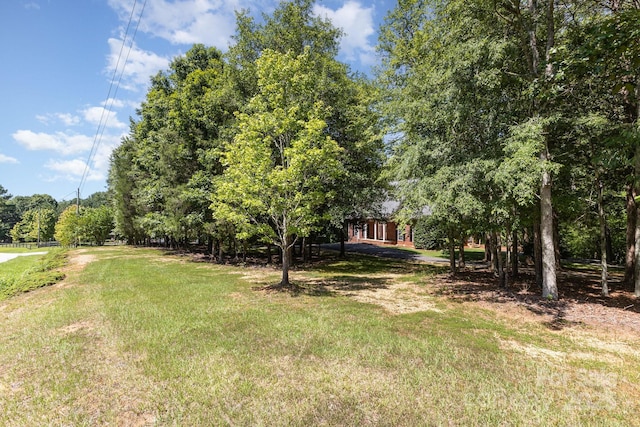 8300 Loma Linda Ln, Waxhaw, NC 28173 - photo 42