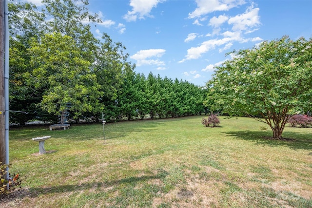 2236 Old Hickory Grove Rd, Mount Holly, NC 28120 - photo 26