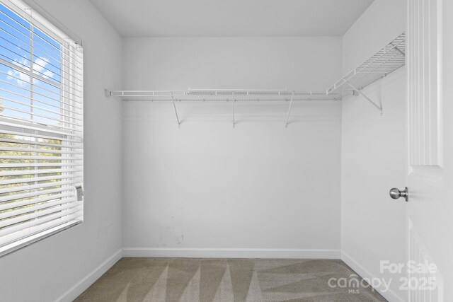 149 Wellshire St, Mooresville, NC 28115 - photo 20