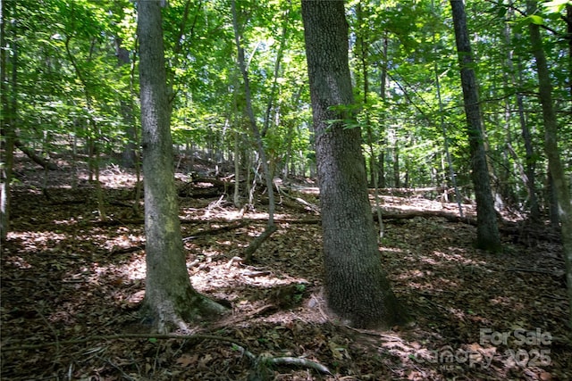 LOT113 Stoney Brook Dr Unit 113, Lenoir, NC 28645 - photo 2