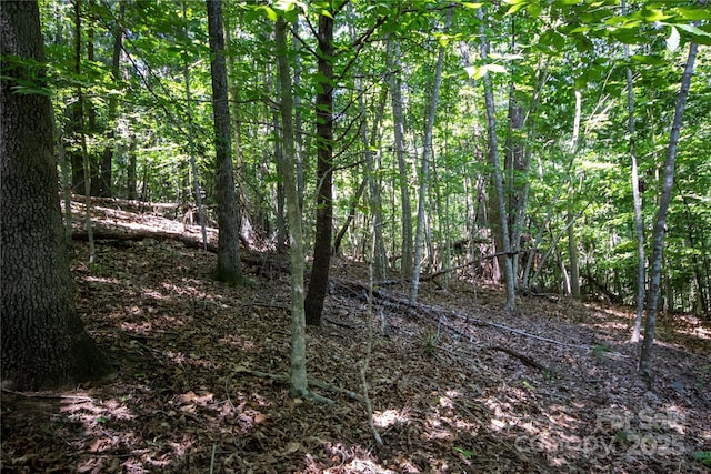 LOT113 Stoney Brook Dr Unit 113, Lenoir, NC 28645 - photo 3