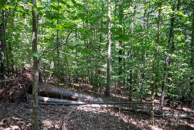 LOT113 Stoney Brook Dr Unit 113, Lenoir, NC 28645 - photo 4