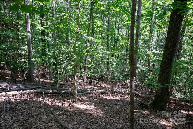 LOT113 Stoney Brook Dr Unit 113, Lenoir, NC 28645 - photo 5