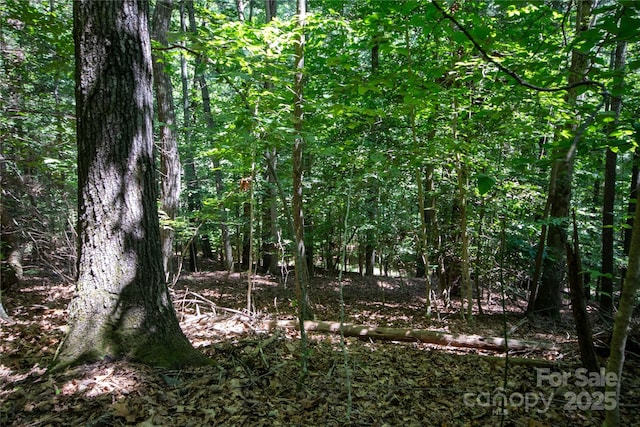 LOT113 Stoney Brook Dr Unit 113, Lenoir, NC 28645 - photo 6
