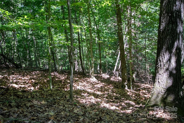 LOT113 Stoney Brook Dr Unit 113, Lenoir, NC 28645 - photo 7
