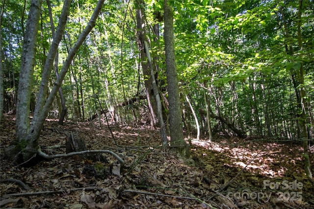 LOT113 Stoney Brook Dr Unit 113, Lenoir, NC 28645 - photo 8