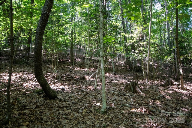 LOT113 Stoney Brook Dr Unit 113, Lenoir, NC 28645 - photo 9