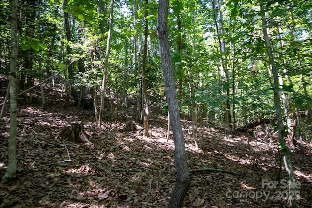 LOT113 Stoney Brook Dr Unit 113, Lenoir, NC 28645 - photo 10