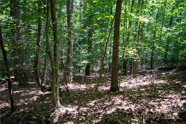 LOT113 Stoney Brook Dr Unit 113, Lenoir, NC 28645 - photo 11