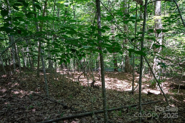 LOT113 Stoney Brook Dr Unit 113, Lenoir, NC 28645 - photo 13