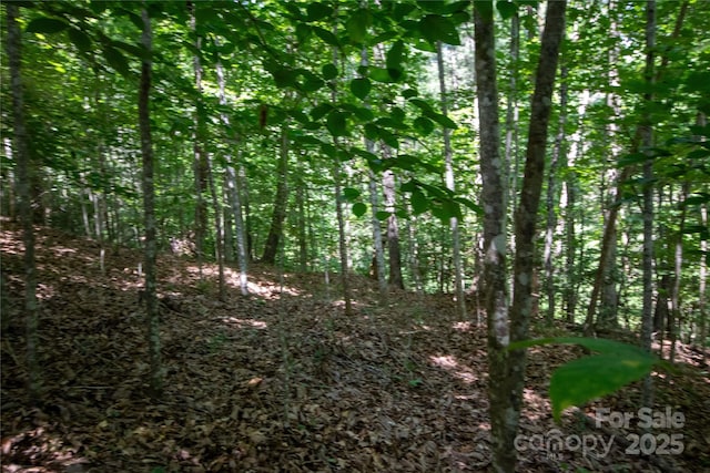 LOT113 Stoney Brook Dr Unit 113, Lenoir, NC 28645 - photo 14