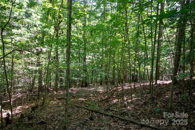 LOT113 Stoney Brook Dr Unit 113, Lenoir, NC 28645 - photo 15