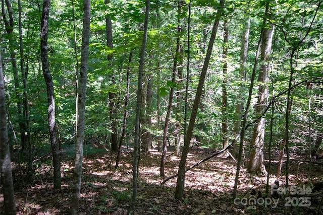 LOT113 Stoney Brook Dr Unit 113, Lenoir, NC 28645 - photo 16