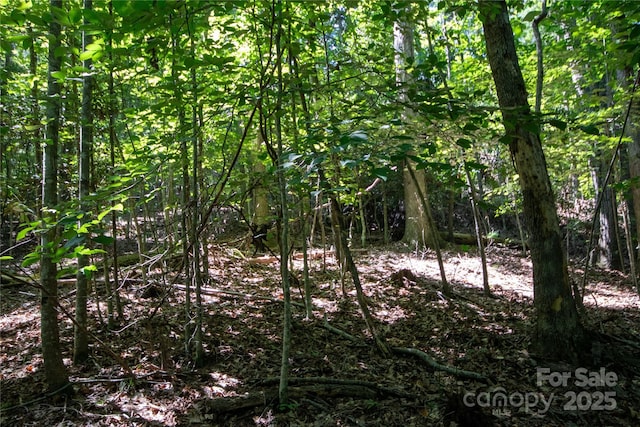LOT113 Stoney Brook Dr Unit 113, Lenoir, NC 28645 - photo 17