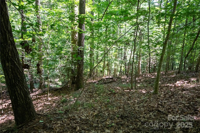 LOT113 Stoney Brook Dr Unit 113, Lenoir, NC 28645 - photo 19