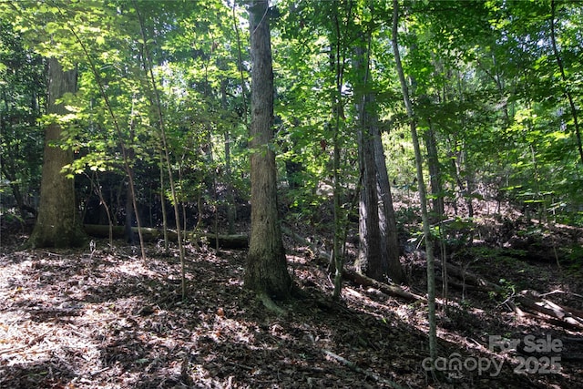 LOT113 Stoney Brook Dr Unit 113, Lenoir, NC 28645 - photo 21