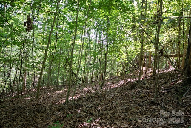 LOT113 Stoney Brook Dr Unit 113, Lenoir, NC 28645 - photo 22