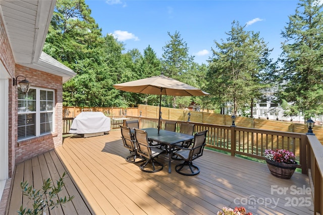 10209 Maple Haven Ct, Mint Hill, NC 28227 - photo 30