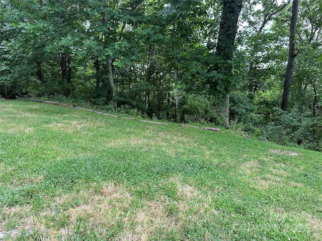 109 Ladys Fern Trl, Laurel Park, NC 28739 - photo 2