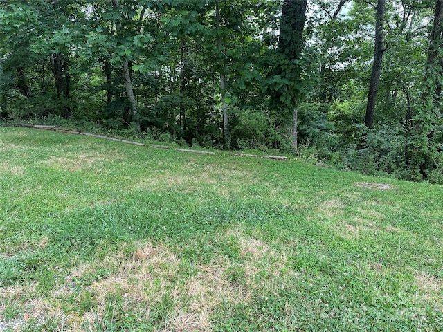 109 Ladys Fern Trl, Laurel Park, NC 28739 - photo 3