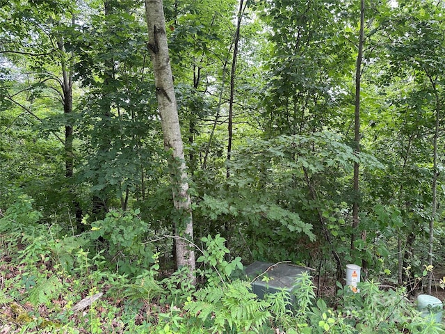 109 Ladys Fern Trl, Laurel Park, NC 28739 - photo 4