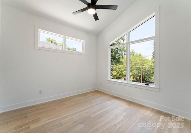 1725 Seifert Cir, Charlotte, NC 28205 - photo 22