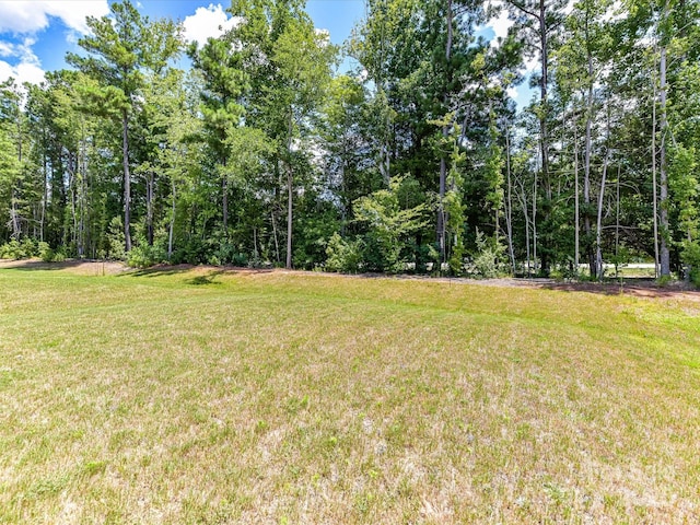 2068 Redstone Dr, York, SC 29745 - photo 32