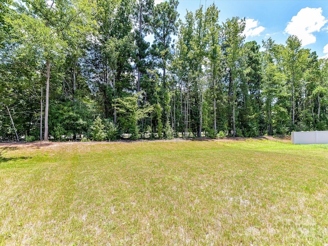 2068 Redstone Dr, York, SC 29745 - photo 33