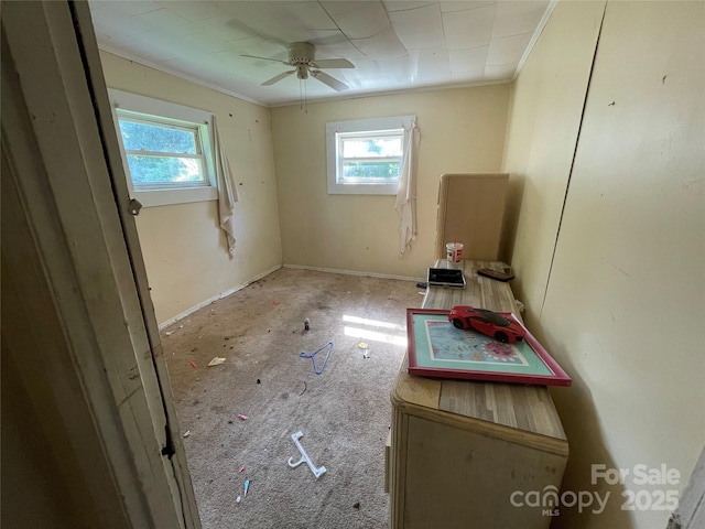 3523 Walker Cir, Lenoir, NC 28645 - photo 18