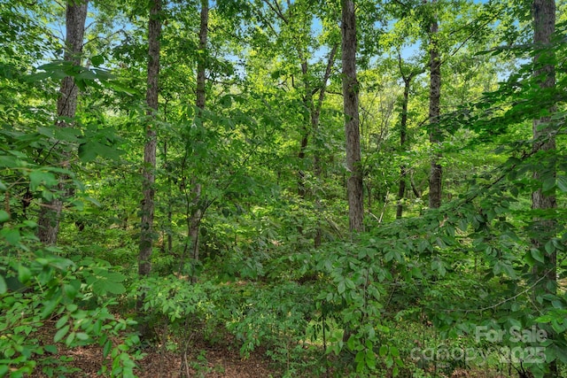 923 Buttermilk Ln, Monroe, NC 28110 - photo 48