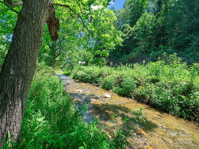 9065 NC-63 Hwy, Leicester, NC 28748 - photo 2