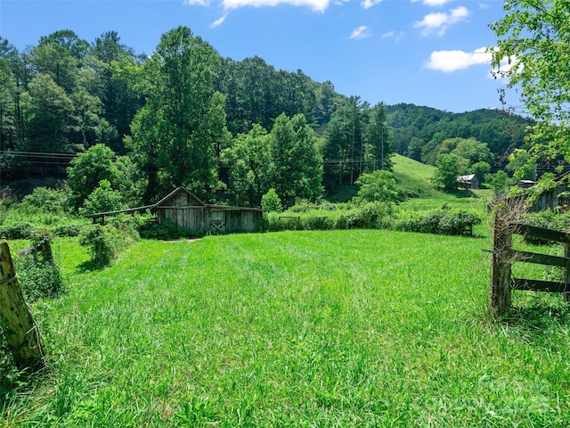 9065 NC-63 Hwy, Leicester, NC 28748 - photo 8