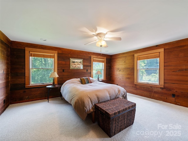 9065 NC-63 Hwy, Leicester, NC 28748 - photo 19