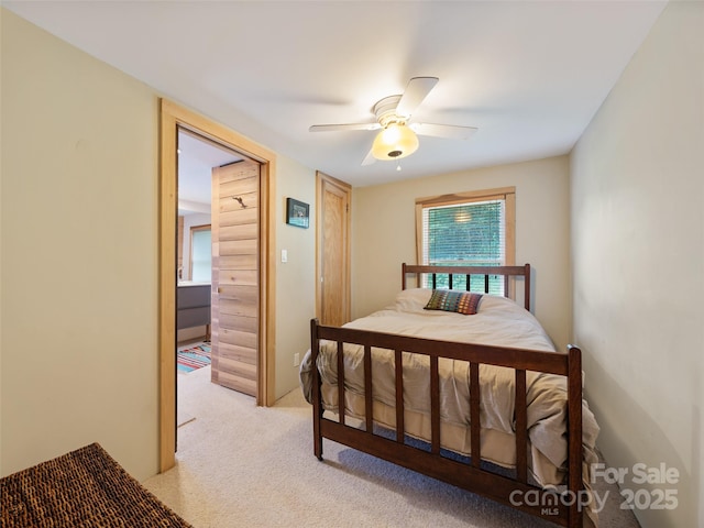 9065 NC-63 Hwy, Leicester, NC 28748 - photo 21