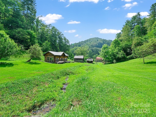 9065 NC-63 Hwy, Leicester, NC 28748 - photo 28