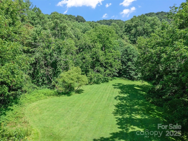9065 NC-63 Hwy, Leicester, NC 28748 - photo 30