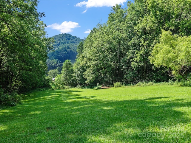9065 NC-63 Hwy, Leicester, NC 28748 - photo 31