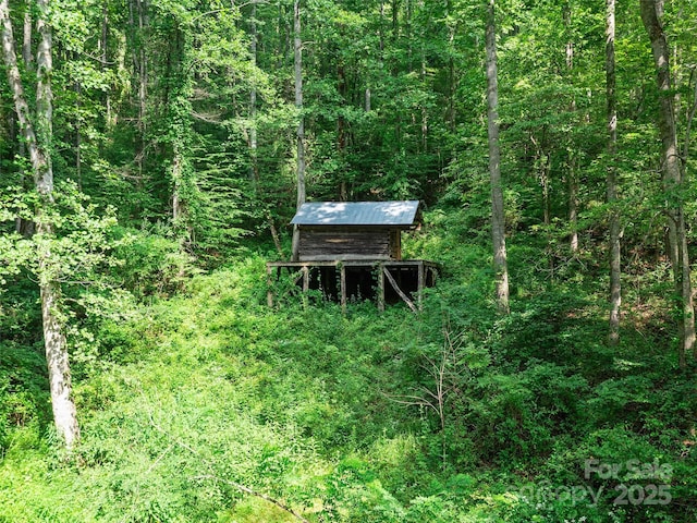 9065 NC-63 Hwy, Leicester, NC 28748 - photo 32