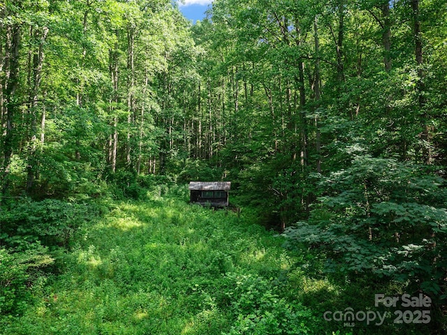 9065 NC-63 Hwy, Leicester, NC 28748 - photo 34