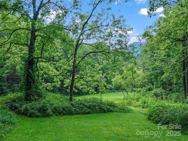 9065 NC-63 Hwy, Leicester, NC 28748 - photo 36