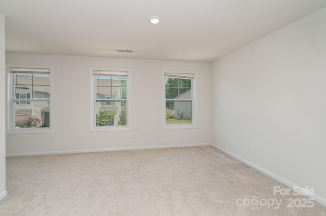 4237 Plumeria Way, Fort Mill, SC 29707 - photo 12