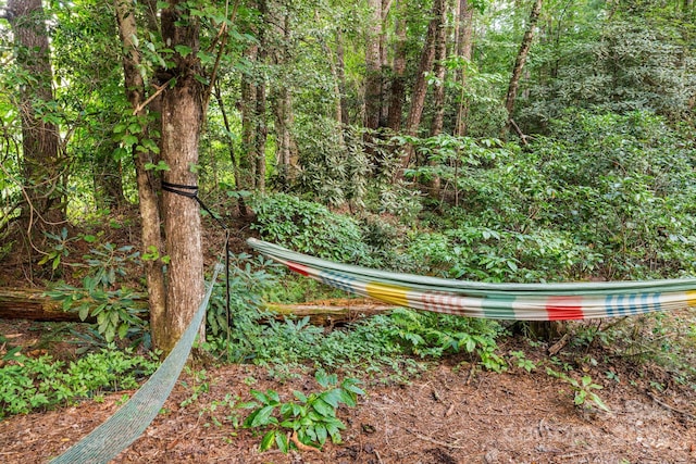 276 Tee Smith Dr, Pisgah Forest, NC 28768 - photo 38