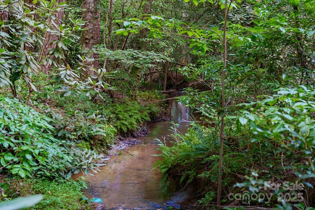 276 Tee Smith Dr, Pisgah Forest, NC 28768 - photo 40